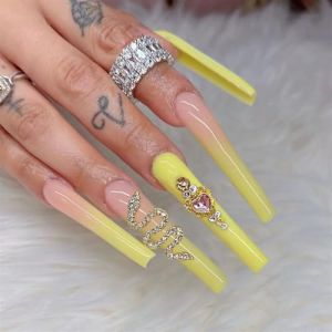 Faux ongles, ongles à presser Faux ongles longs en forme de cercueil avec colle, faux ongles marron portables avec strass, presse de Ballet, couverture complète(30) (zhangtingamz, neuf)