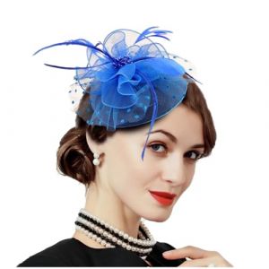 JKQBUX Bibi ann&eacute;es 20 Gatsby Charleston Accessoires de f&ecirc;te Art D&eacute;co Accessoire de coiffe, chapeau bibi avec pince &agrave; cheveux pour femme, chapeau melon fleur plumes fibre (SHIMENG, neuf)