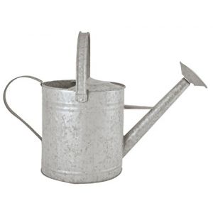Esschert Design Fallen Fruits Vieux Zinc 6,5 L Arrosoir (AC-D&eacute;co, neuf)