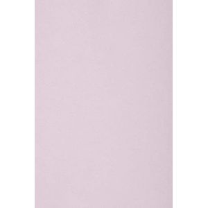 Netuno 50x carton lila 250g papier d&eacute;coratif A3 297x420mm Burano Lilla id&eacute;al pour cartes de voeux scrapbooking bricolage invitations art et artisanat anniversaire DIY loisirs cr&eacute;atifs (netuno, neuf)