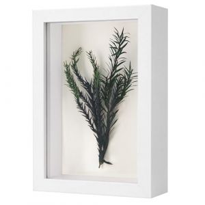 WISYOK Cadre 3D A6, 3cm Profondeur, Photo Carr&eacute; Vitrine, Fleurs, Photos, Souvenirs (Blanc, 16,5x11,5cmx4,5cm) (WISYOK STORE, neuf)