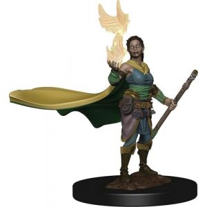 NECA - D&D Premium Miniatures Druida Figurine Driuda Elfe, Multicolore (Wizkids 73821) (mtgandmore, neuf)