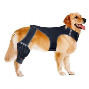 Genouill&egrave;re pour Chien | Manche Articulaire R&eacute;glable,Attelle De Patte Arri&egrave;re pour Chien avec 4 Stabilisateurs en M&eacute;tal - pour Marche, Exercice, Activit&eacute;s Ext&eacute;rieures, Parc, Plage, Maison (RENXIAOjun, neuf)