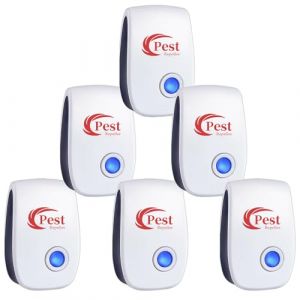 R&eacute;pulsif Ultrason Anti-Rongeurs Insectes, 6 pcs Ultrason Anti Moustique Ultrason Souris et Rats, Int&eacute;rieur R&eacute;pulsif &Eacute;lectronique Insectes pour Souris, Rats Fourmis Araign&eacute;es Moustiques (EU Chuenyuan, neuf)