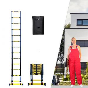 Echelle t&eacute;lescopique 3m80 Woerther Grafitek avec Barre stabilisatrice - Plus Housse - Garantie 5 Ans (Woerther, neuf)