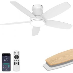 EKDADL 42inch Silencieux Ventilateur Plafond avec Lumi&egrave;re,0%-100% Dimmable Destratificateur d'air Chaud Plafond avec 5 Pales Doubles,6 Vitesses Ventilateur de Plafond avec T&eacute;l&eacute;commande&APP (Blanc) (BoErQi, neuf)