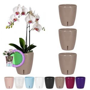 Santino - Lot de 4 pots &agrave; arrosage automatique - Avec syst&egrave;me de m&egrave;che et indicateur de niveau d'eau - Pour int&eacute;rieur, pot &agrave; orchid&eacute;e - Diam&egrave;tre 16,5 cm (sable - 3,3 l) (Gartenlux, neuf)