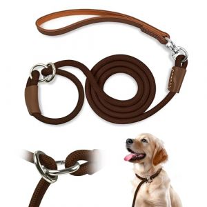Qianruida Laisse Dressage et Collier 1cm x 180cm Laisse Retriever Laisse Lasso pour Chiens de Toutes Tailles Laisse Coulissante avec Poign&eacute;e Rembourr&eacute;e &ndash; Marron (QianRuidDa, neuf)