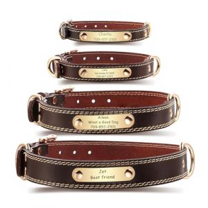 MeMeDIY Colliers Personnalisés en Cuir pour Chiens étiquette Nom Gravable Collier Marron Nominative en Cuir pour Chiens de Petite Moyenne et Grande Taille (L) (MeMeDIY, neuf)