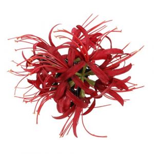 Beaupretty Pince à Cheveux Grosse Fleur Pinces à Cheveux à Mâchoires Accessoires Décorative 1 Pièce Tissu et Plastique pour Coiffure Laver Visage Cuisiner (kiLIHK, neuf)