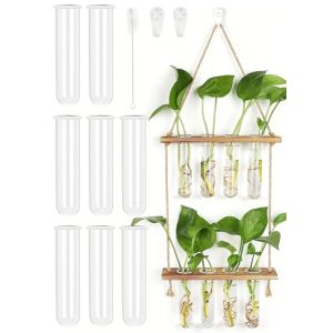 2 &Eacute;tage Vase Mural, 8PCS Vase Tube &agrave; Essai, Pot de Fleur Mural en Verre, Suspension Plante int&eacute;rieure avec Support en Bois, pour d&eacute;coration Maison Bureau Jardin(42x20cm) (IlluminateMe OU, neuf)