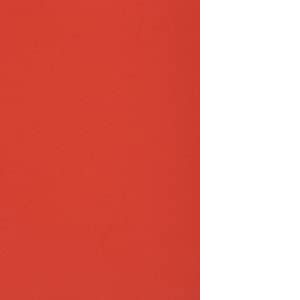 Netuno 10x carton rouge 250g papier d&eacute;coratif A5 148,5x210mm Burano Rosso Scarlatto id&eacute;al pour cartes de voeux scrapbooking bricolage invitations art et artisanat anniversaire DIY loisirs cr&eacute;atifs (netuno, neuf)