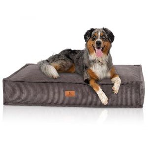 Knuffelwuff Coussin pour Chien Lesedi en Velours c&ocirc;tel&eacute; Aspect tiss&eacute; Main 80x60cm Gris-Marron - Housse Amovible - Lavable - pour Grands, Moyens et Petits Chiens (Knuffelwuff, neuf)