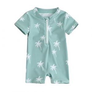 HodJIU Maillot de Bain Bébé Garçon Anti-UV Imprimé Dinosaure à Manches Courtes Costume de Bain Piscine Plage Surf (Bleu, 6-12 Months) (Haikouxunchuanhandianzishangwuyouxiangongsi, neuf)