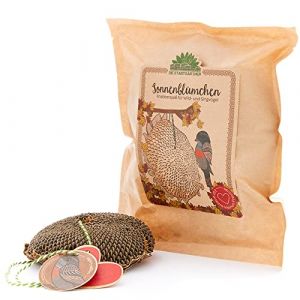 Die Stadtg&auml;rtner Tournesol I Belle nourriture pour oiseaux &agrave; offrir I T&ecirc;te de tournesol s&eacute;ch&eacute;e &agrave; suspendre I Nourrir et regarder les oiseaux I Emball&eacute; avec amour &agrave; la main en Allemagne (Die Stadtg&auml;rtner, neuf)