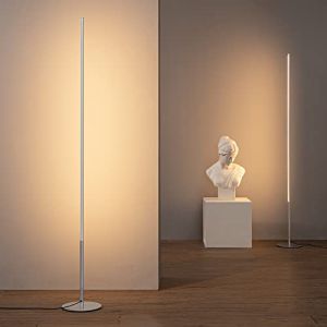 EDISHINE 2PCS Lampadaire LED sur Pied Salon, 147cm Dimmable Colonne Lumineuse, 3000K Blanc Chaud, Moderne Lampe D'Ambiance, Interrupteur au Pied, Decoration Intérieur pour Salle de Jeu, Noir (DewenwilsDirect, neuf)