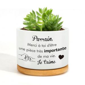 RRIGETEN Cadeau Parrain Noel Cadeau Parrain Marraine Bapteme Cadeau Parrain Marraine Demande Parrain Cadeau Original Cadeau pour Parrain Pot De Fleur Fete des Peres (Longhani, neuf)