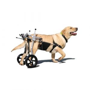 2 Roues R&eacute;glable Chien Chat Animal De Compagnie &Acirc;g&eacute; Fauteuil Roulant Chien Membre Post&eacute;rieur Chariot Animal Handicap&eacute; R&eacute;habilitation Panier pour Grands, Moyens Et Petits Chiens(Size:M（15-20kg）) (XIYAOD, neuf)