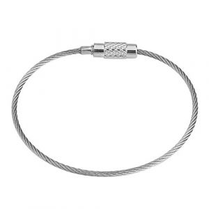 20Pcs Porte-cl&eacute;s en Fil, 15 cm porte-cl&eacute;s en fil d'acier inoxydable Boucle Porte-cl&eacute;s &eacute;tiquette de Bagage avec serrure &agrave; vis pour suspendre des &eacute;tiquettes de bagages ou des &eacute;tiquettes d'identification (Liusing, neuf)