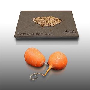 500 graines &agrave; semer - Le Grenier d'Abondance - CAROTTE March&eacute; de Paris - Daucus Carota (LE GRENIER D'ABONDANCE, neuf)