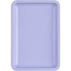 Plateau de rangement polyvalent en acier inoxydable pour manucure essentielle, plateau &agrave; la mode, faux ongles, plateau, outils, plateau en acier inoxydable (tonder, neuf)