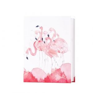 Hixingo Album Photo 10x15 100 Pochette, Grand Taille Album Photo Bebe Comm&eacute;moratif Album Photo Pochette, Album Photo Traditionne pour Famille/Mariage/Voyage/B&eacute;b&eacute; (6&rsquo;&rsquo;,Flamant Rose) (Hixin, neuf)