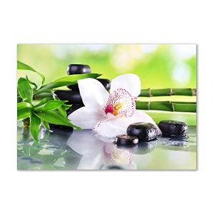 Tulup Crédence de cuisine 100x70cm Dosseret en verre Fond de hotte Verre de sécurité trempé Splashback Guard - Fleurs et plantes - Blanc - Orchidée (Tulup, neuf)