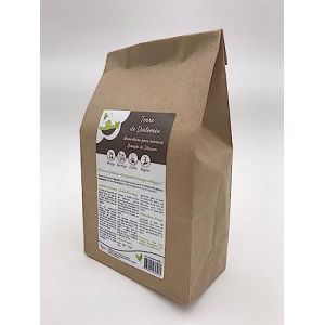 ECO-CONSEILS.COM Terre de Diatomée Anti Punaises de Lit (Sachet Poudre de 2kg) - Solution Naturelle Anti-Insectes (Prévention et Traitement) - Éco-Responsable (Ecoconseils, neuf)
