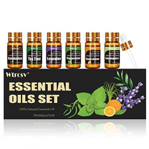 Coffret Huiles Essentielles - 6 Parfums x 5ml - Huiles Pures Naturelles pour Diffuseur - Aromathérapie, Massage - Menthe Poivrée, Arbre à Thé, Lavande, Eucalyptus, Citronnelle, Orange Douce (ZHDL-OZ, neuf)