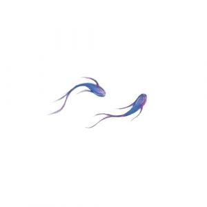 Tatouage temporaire coloré motif poisson rouge koï bleu et violet, imperméable et durable, pour poignet féminin, faux tatouages(05) (CHJWEIHHERT, neuf)