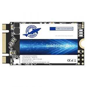 Dogfish SSD M.2 2242 500Go Ngff Ordinateurs De Bureau &agrave; l'int&eacute;rieur De l'actionneur &agrave; SolideDe Haute Performance De Lecteur De Disque Dur Comprend Un SSD 120Go 240Go 250Go 480Go(500Go, M.2 2242) (Dogfish official store, neuf)