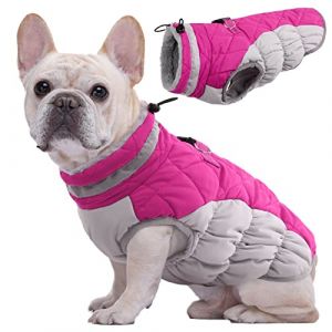 Kuoser Manteau d'hiver Imperm&eacute;able pour Chien Veste Chaude Doubl&eacute; en Polaire pour Chiot avec Col en Fourrure Gilet Coupe-Vent Ext&eacute;rieur V&ecirc;tement R&eacute;fl&eacute;chissant pour Petits Moyens Grands Chiens (Kuoser_Official, neuf)