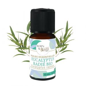 BORN TO BIO Huile Essentielle Eucalyptus Radié Bio - 100% Pure et Naturelle - Propriétés Respiratoires et Décongestionnantes - Certifié AB - 10ml (Born To BIO, neuf)
