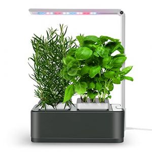 amzWOW Clizia Smart Garden- Potager Hydroponique D’Intérieur, Jardiniere Interieur Herbes aromatiques - Jardin Autonome Intelligent avec Minuterie Automatique, Lumière LED Incluse (Space Grey) (WoW-store, neuf)