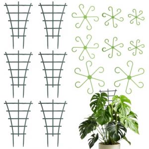 LEIMEND 14 Pi&egrave;ces Tuteur Plante Interieur Tuteur Plante Grimpante Tuteurs pour Plantes R&eacute;sistant et Anticorrosion il Offre Un Espace de Croissance Suppl&eacute;mentaire aux Plantes (LEIMEND, neuf)