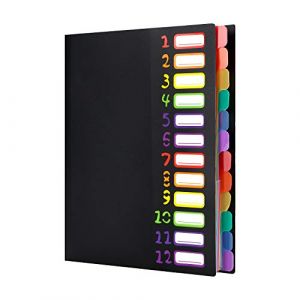 Trieur 12 compartiments Chemise Plastique a4 avec Rabat et Fermeture à Elastiques Extensible Pochettes pour Documents Multicolore Organisateur De Documents Dossiers Chemise Trieur Bureau (haozaikeji, neuf)