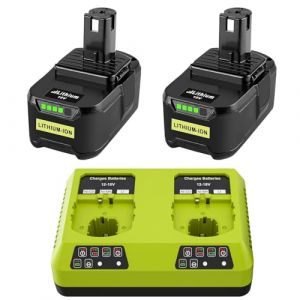 2X 5500mAh Batteries Rechange pour Ryobi 18V One+ et 1 Chargeur Double Port Compatibles avec Ryobi P108, RB18L50, RB18L40, P189, P102, P107, RB18L25, RB18L20, RB18L13, RB18L15 (Xinyuan-eu, neuf)