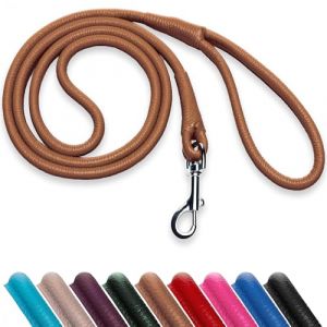 OOPSDOGGY Laisse de dressage robuste en cuir roul&eacute; pour chiens et chiots de petite, moyenne et grande taille, 1,8 m (marron, taille L) (OopsDoggy, neuf)