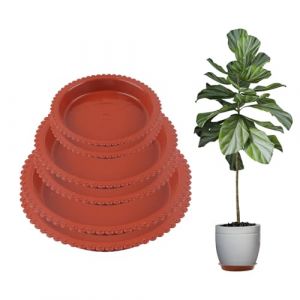 AYNKH 6 Pi&egrave;ces Coupelle Pot de Fleur Soucoupe Pot Fleur Soucoupe pour Bonsa&iuml; Plastiques Soucoupe Plante pour Plantes d'Int&eacute;tieur et d'Ext&eacute;rieur (AYNKH., neuf)