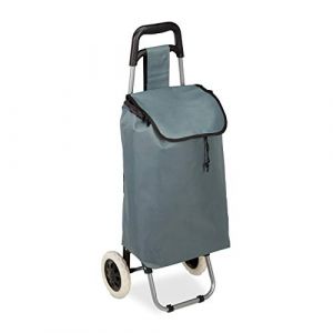 Relaxdays 10027828_111 Chariot de courses pliable sac amovible 28 L,caddie pour achats roulettes HlP 92,5x 42 x 28 cm,gris, 1 (Relaxdays, neuf)
