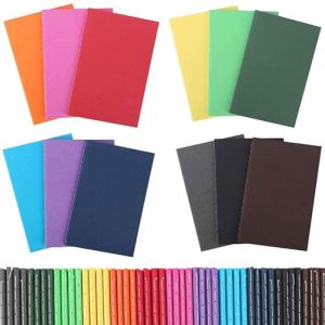 ASMIZ Lot de 48 Carnets Mini Format A6 &ndash; Carnets de Poche &agrave; Pages Lign&eacute;es, Petits Cahiers en Lot pour &Eacute;tudiants, M&eacute;mos, Journal, Prise de Notes, Voyage, Bureau, &Eacute;cole (14&times;9 cm, 12 Couleurs) (ASMIZ, neuf)