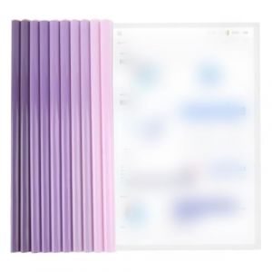 PYEUIFT 10 Pièces A4 Couverture De Rapport,Transparent Barre Coulissante Rapport Couvre,10 Feuilles Plastique Chemise De Couvertures De Rapports Avec Barre Coulissante,Dossier Coulissante(Violet (tulan4820208, neuf)