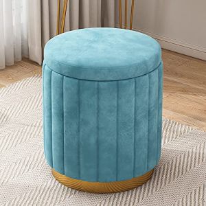 Tabouret de Coiffeuse en Velours avec Rangement, Pouf de Rangement Rond, Tabouret de canapé rembourré Confortable, Tabouret de Maquillage de Chambre à Coucher pour Cadeau de Dame de Chambre de Filles (xianxinqiangjianzhulaowugongchengyouxiangongsi, neuf)