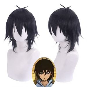 Perruque pour carnaval, vie nocturne, club, fête, déguisement, assassin Wu 567, perruque de cosplay 567Cos Lost One Hundred Million Ancienne Fleur de Prune 13 Cola (good stuff A, neuf)