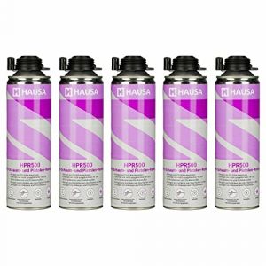 HAUSA Nettoyant pour Mousse PU et Pistolet pour mousse expansive HPR500 Détergent Dégraissage de Surfaces Métalliques Utilisation Professionnelle Nettoyage Laveur de Pistolets 5 x 500 ml (hausa.gmbh, neuf)