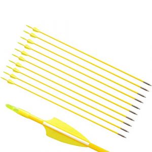 ZSHJG 12pcs Flèches en Fibre de Verre 31 Pouces Flèches d'entraînement de Cible Spine 900 Flèches de Chasse avec Flèche Carquois pour 35 Lbs Arc Recourbé Arc Long (Jaune 2) (Traveling Shop, neuf)