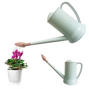Arrosoir de 2 litres à Long Bec en Plastique arroseur détachable Plante arrosoir Vaporisateur d'eau léger Bouteille d'arrosage pour intérieur extérieur Jardin Maison Fleur bonsaï Plante(Bleu Clair) (Qiang_ze9, neuf)