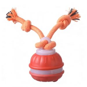 UEXEDO Jouet Interactif pour Chien, Balle Intelligente, Balle Motoris&eacute;e pour Chien, Balle &Eacute;lectrique pour Chien, Balle Intelligente pour Chien, Balle pour Chien avec Laisse (Orange) (SUROS Y ORTEGA, neuf)