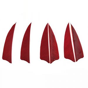 SHARROW 50pcs Tir &agrave; l'arc Plumes de Fl&egrave;che 3" Plumes Naturelles Fletching Empennage de Fl&egrave;che Plumes pour Fl&egrave;ches en Bois et Fl&egrave;ches de Carbone (Rouge) (AME Archery Shop, neuf)