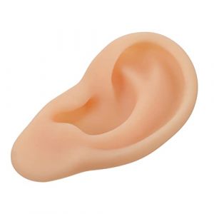 DINHEAROM Modèle Oreille Silicone Gauche Souple Pour Enseignement Médical Simulation Pratique Display Pour Étudiants Infirmiers Médecins (XXXINCHEN, neuf)